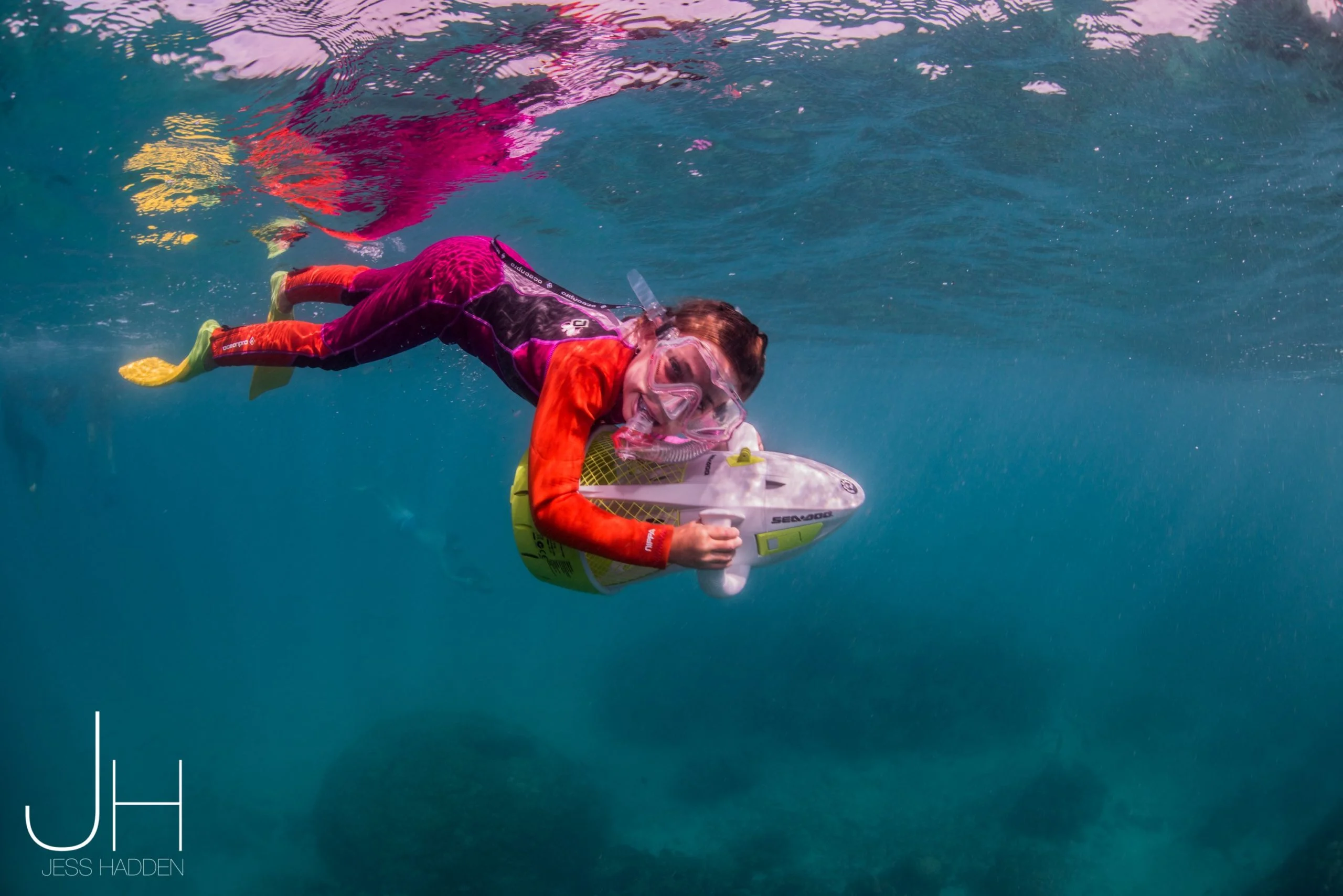 8 Reason to Swim with Whale Sharks on Ningaloo Reef