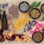 What is a Naturopath and what are they doing?