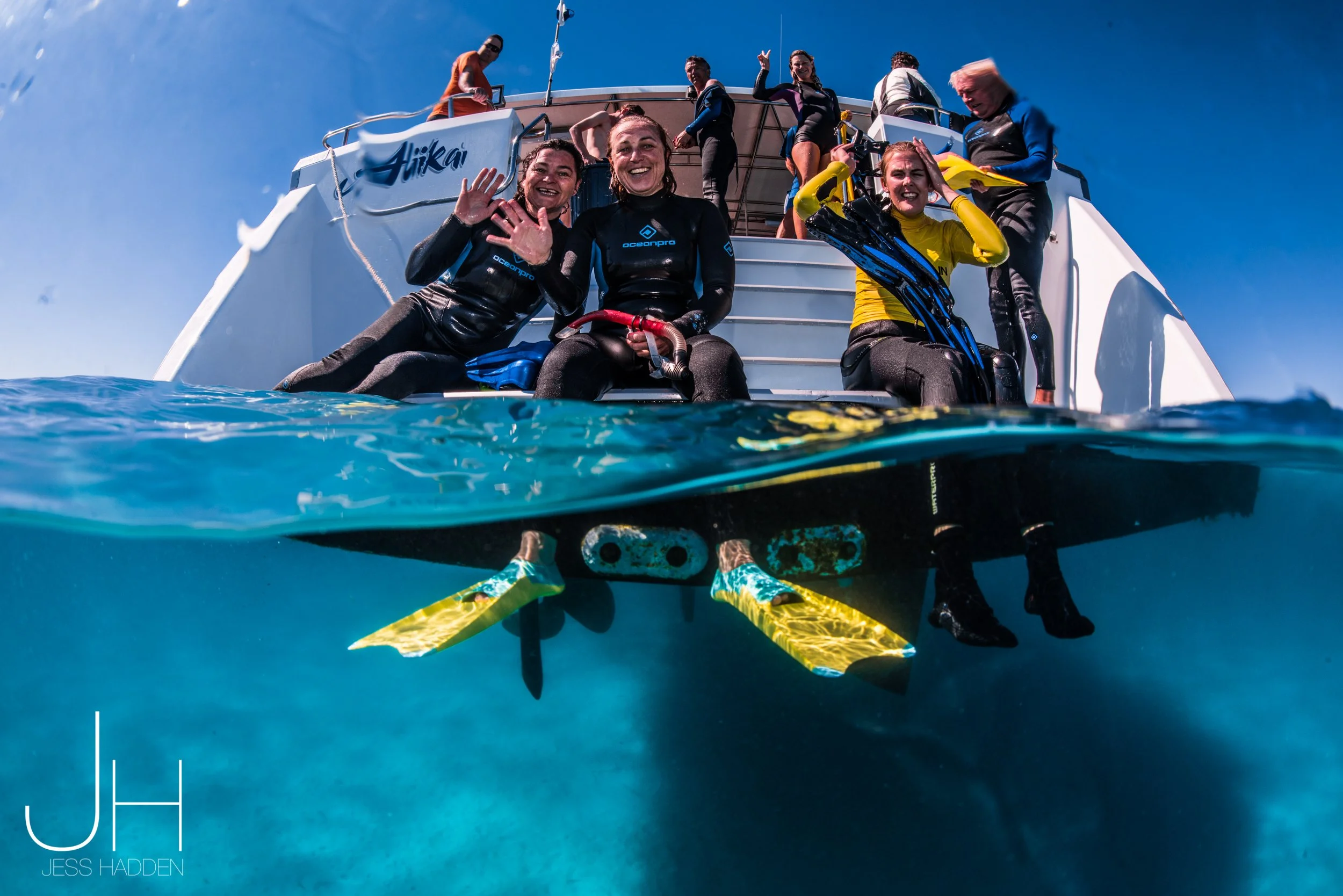 Where in Australia can you Swim with Whale Sharks?