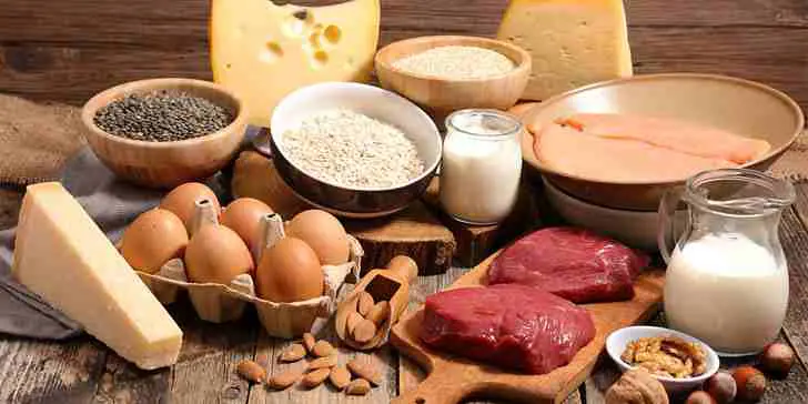 Top 10 Foods Highest in Protein – Protein Rich Foods
