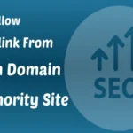 Website Promotion with Strong DA PA Backlinks