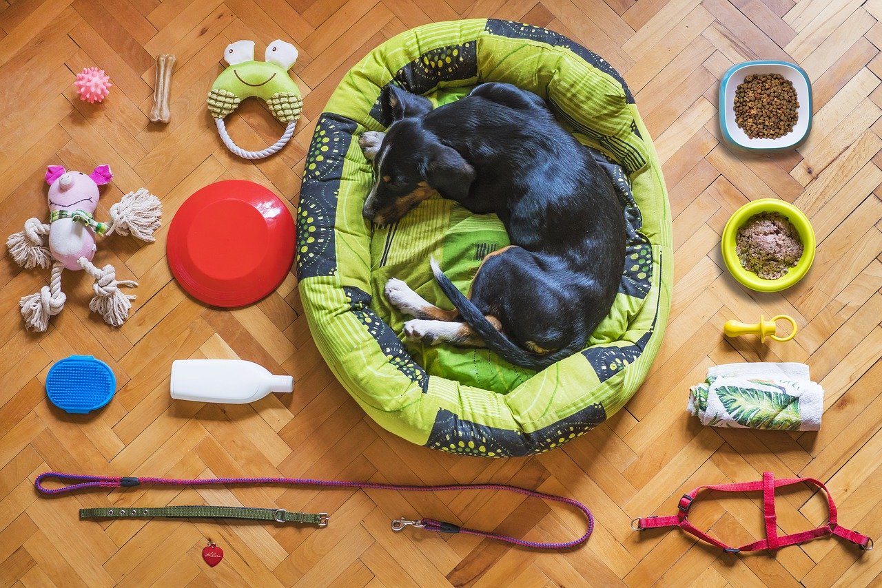 5 Pet Supplies Every Owner Must Purchase