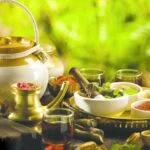 Naturopathy: Nature’s Gift that Drives You Back to Good Health