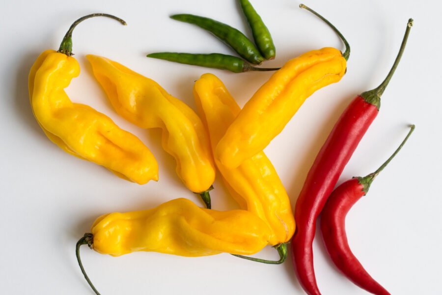 A Brief Introduction to Yellow Chilli Powder and Plant