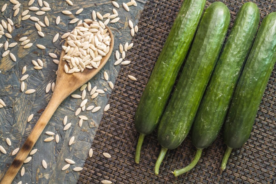 Health Benefits of Cucumber Seeds and Vegetable Seeds