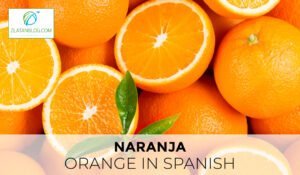 Orange in Spanish