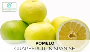 Grapefruit in Spanish 