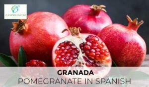 Pomegranate in Spanish