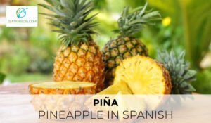 Pineapple in Spanish