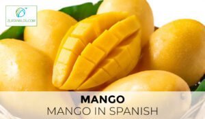 Mango in Spanish 