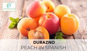 Peach in Spanish