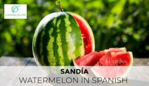 Watermelon in Spanish