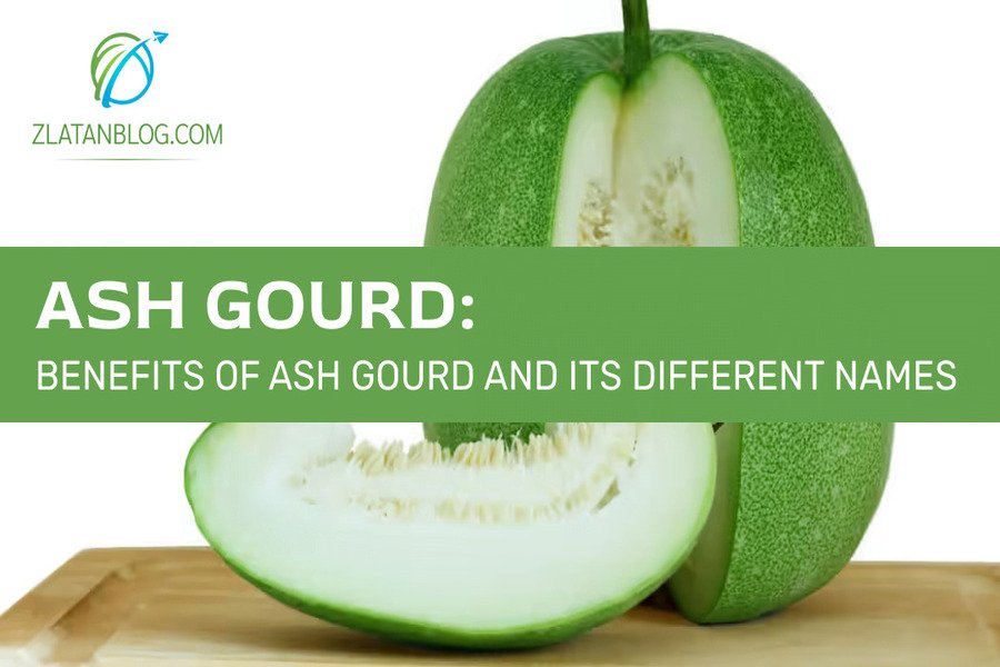 ash-gourd-benefits-of-ash-gourd-and-its-different-names-zlatan-blog